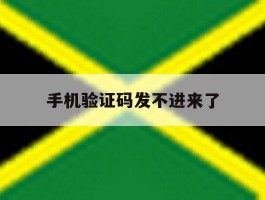 手机验证码发不进来了