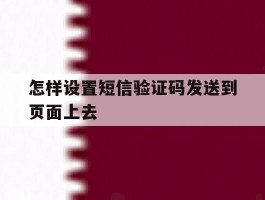 怎样设置短信验证码发送到页面上去