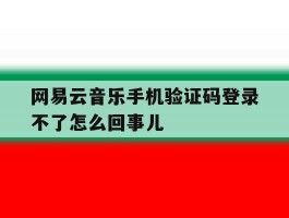 包含网易云音乐手机验证码登录不了怎么回事儿的词条