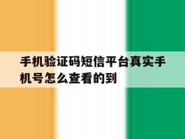 手机验证码短信平台真实手机号怎么查看的到