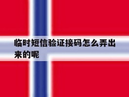 临时短信验证接码怎么弄出来的呢