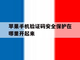 苹果手机验证码安全保护在哪里开起来