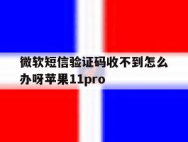 微软短信验证码收不到怎么办呀苹果11pro的简单介绍