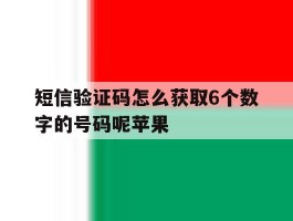 短信验证码怎么获取6个数字的号码呢苹果