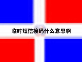 临时短信接码什么意思啊