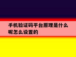 包含手机验证码平台原理是什么呢怎么设置的的词条