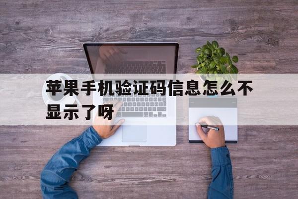 苹果手机验证码信息怎么不显示了呀 苹果手机验证码信息怎么不显示了呀