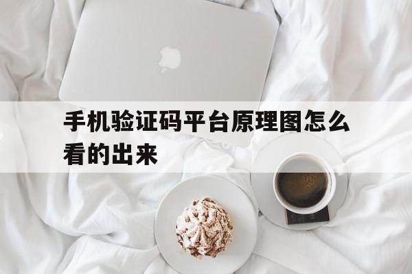 手机验证码平台原理图怎么看的出来 手机验证码平台原理图怎么看的出来
