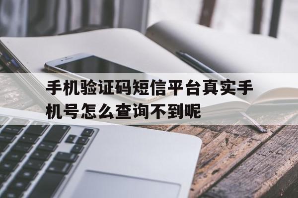 手机验证码短信平台真实手机号怎么查询不到呢的简单介绍 手机验证码短信平台真实手机号怎么查询不到呢的简单介绍