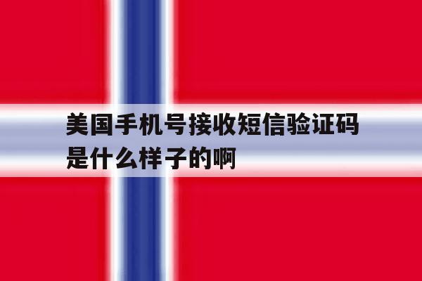美国手机号接收短信验证码是什么样子的啊 美国手机号接收短信验证码是什么样子的啊
