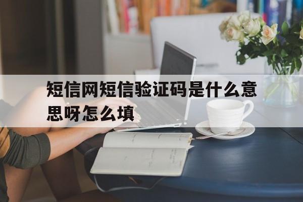 短信网短信验证码是什么意思呀怎么填 短信网短信验证码是什么意思呀怎么填
