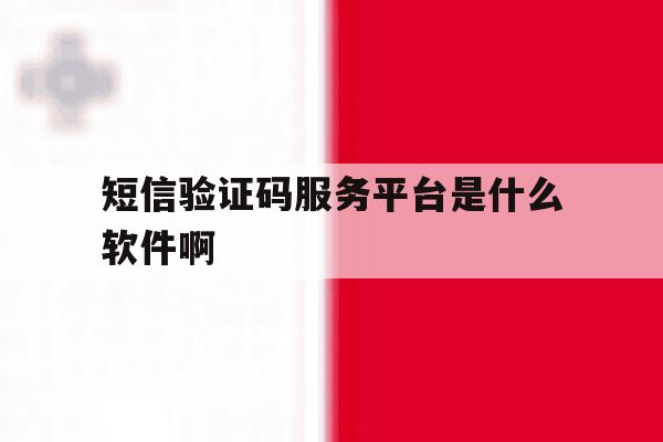 短信验证码服务平台是什么软件啊 短信验证码服务平台是什么软件啊