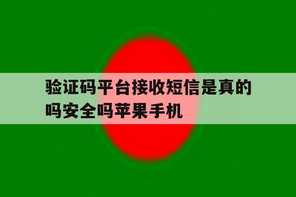 验证码平台接收短信是真的吗安全吗苹果手机的简单介绍 验证码平台接收短信是真的吗安全吗苹果手机的简单介绍
