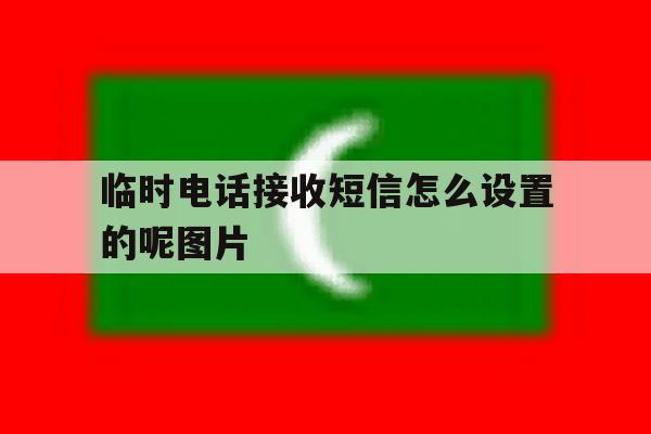 临时电话接收短信怎么设置的呢图片 临时电话接收短信怎么设置的呢图片