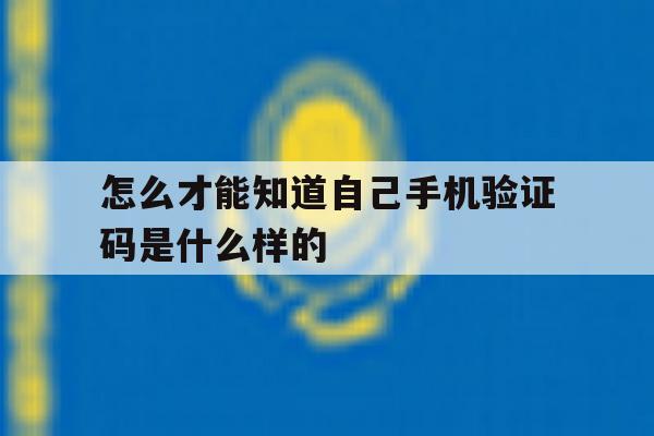 怎么才能知道自己手机验证码是什么样的 怎么才能知道自己手机验证码是什么样的