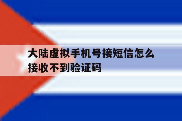 大陆虚拟手机号接短信怎么接收不到验证码 大陆虚拟手机号接短信怎么接收不到验证码