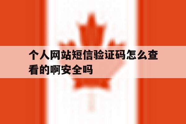 关于个人网站短信验证码怎么查看的啊安全吗的信息 关于个人网站短信验证码怎么查看的啊安全吗的信息