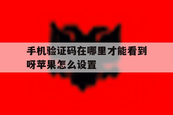 手机验证码在哪里才能看到呀苹果怎么设置 手机验证码在哪里才能看到呀苹果怎么设置
