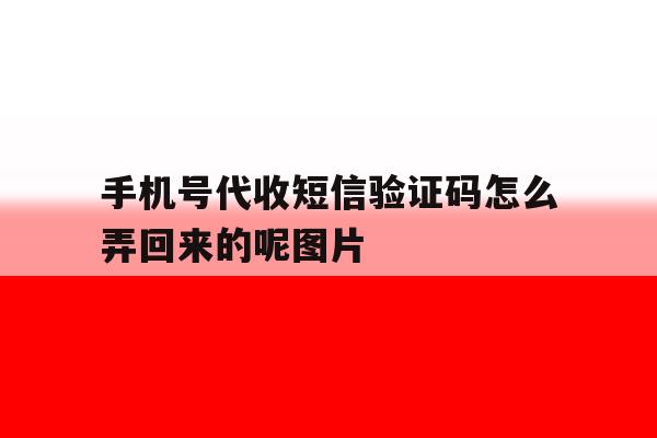 手机号代收短信验证码怎么弄回来的呢图片 手机号代收短信验证码怎么弄回来的呢图片