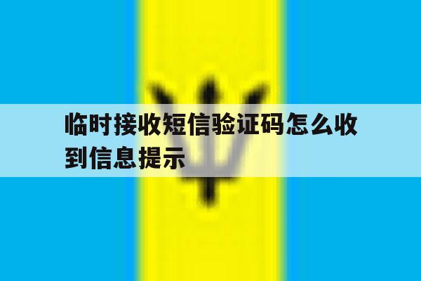 临时接收短信验证码怎么收到信息提示 临时接收短信验证码怎么收到信息提示