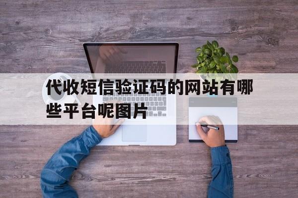 关于代收短信验证码的网站有哪些平台呢图片的信息 关于代收短信验证码的网站有哪些平台呢图片的信息