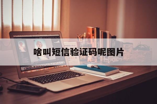 啥叫短信验证码呢图片 啥叫短信验证码呢图片