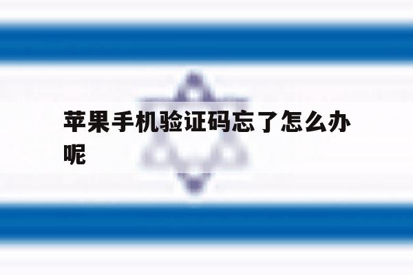 苹果手机验证码忘了怎么办呢 苹果手机验证码忘了怎么办呢
