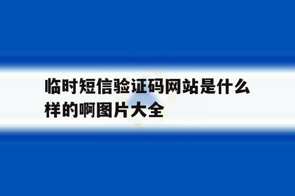 临时短信验证码网站是什么样的啊图片大全 临时短信验证码网站是什么样的啊图片大全