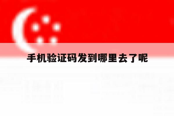手机验证码发到哪里去了呢 手机验证码发到哪里去了呢