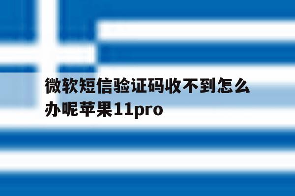 微软短信验证码收不到怎么办呢苹果11pro的简单介绍 微软短信验证码收不到怎么办呢苹果11pro的简单介绍