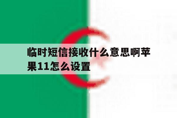 临时短信接收什么意思啊苹果11怎么设置 临时短信接收什么意思啊苹果11怎么设置