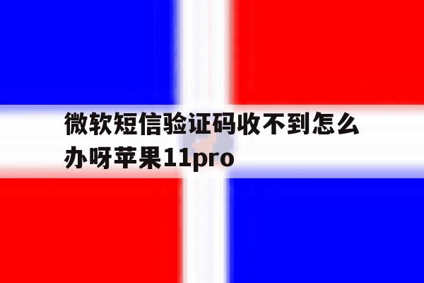 微软短信验证码收不到怎么办呀苹果11pro的简单介绍 微软短信验证码收不到怎么办呀苹果11pro的简单介绍