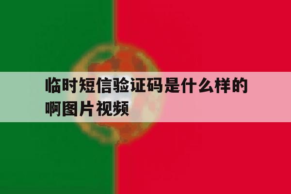 临时短信验证码是什么样的啊图片视频 临时短信验证码是什么样的啊图片视频
