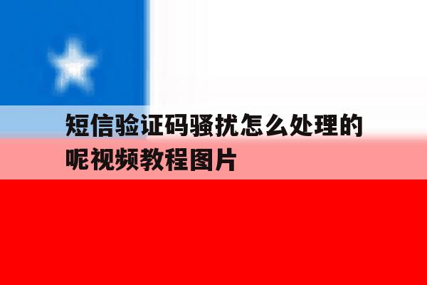 短信验证码骚扰怎么处理的呢视频教程图片 短信验证码骚扰怎么处理的呢视频教程图片