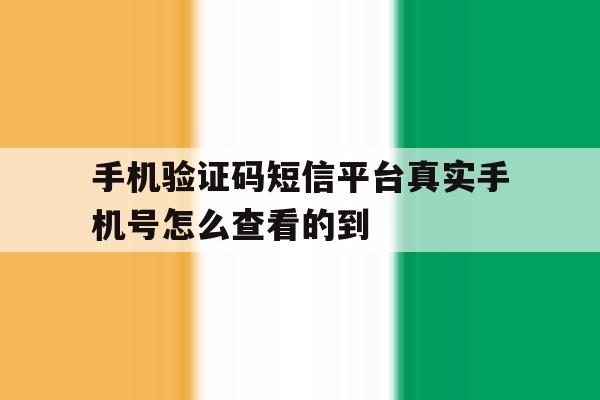 手机验证码短信平台真实手机号怎么查看的到 手机验证码短信平台真实手机号怎么查看的到
