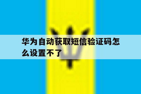 华为自动获取短信验证码怎么设置不了 华为自动获取短信验证码怎么设置不了