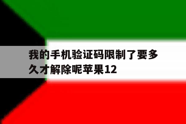 关于我的手机验证码限制了要多久才解除呢苹果12的信息 关于我的手机验证码限制了要多久才解除呢苹果12的信息
