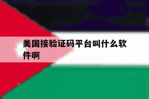 美国接验证码平台叫什么软件啊 美国接验证码平台叫什么软件啊