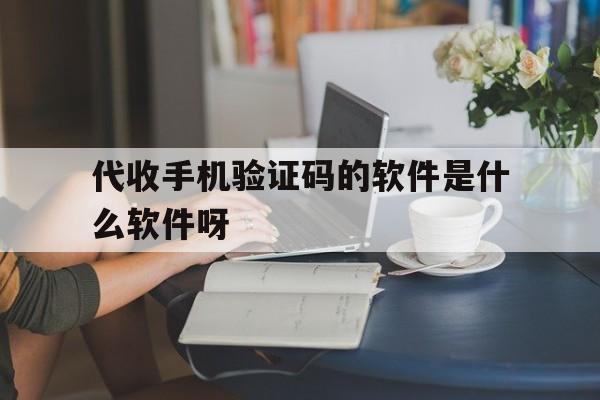 关于代收手机验证码的软件是什么软件呀的信息 关于代收手机验证码的软件是什么软件呀的信息