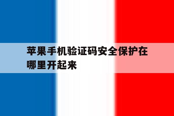 苹果手机验证码安全保护在哪里开起来 苹果手机验证码安全保护在哪里开起来