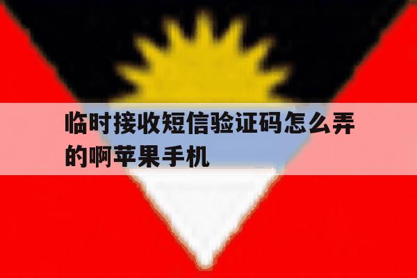关于临时接收短信验证码怎么弄的啊苹果手机的信息 关于临时接收短信验证码怎么弄的啊苹果手机的信息