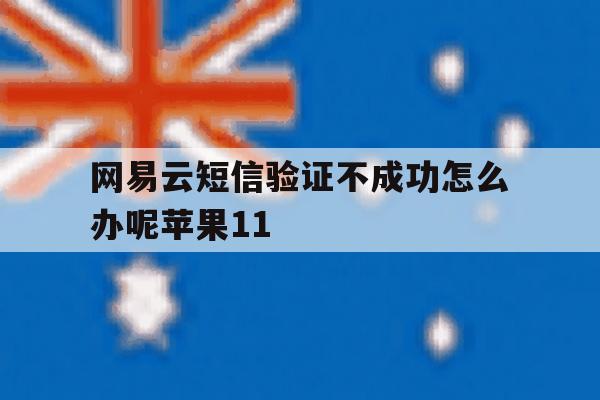 网易云短信验证不成功怎么办呢苹果11的简单介绍 网易云短信验证不成功怎么办呢苹果11的简单介绍