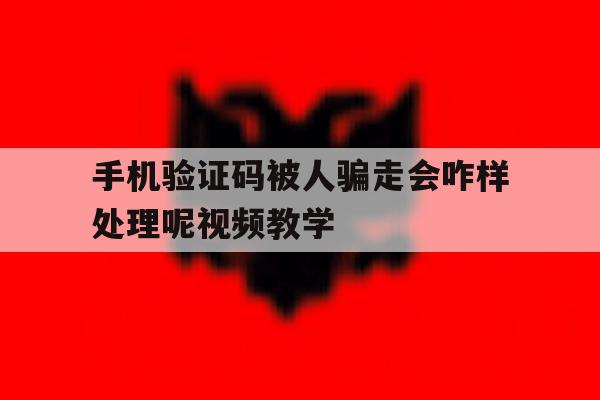 手机验证码被人骗走会咋样处理呢视频教学 手机验证码被人骗走会咋样处理呢视频教学