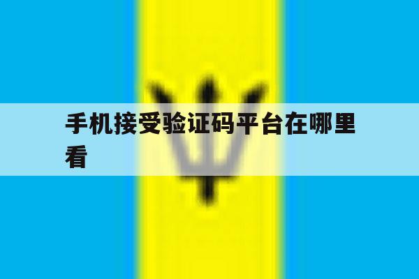 手机接受验证码平台在哪里看 手机接受验证码平台在哪里看