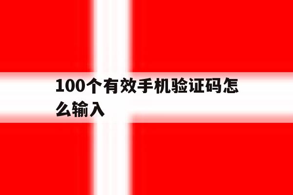 100个有效手机验证码怎么输入 100个有效手机验证码怎么输入