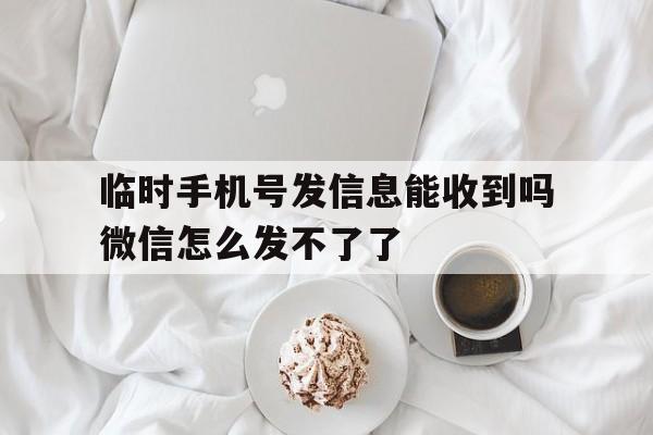 临时手机号发信息能收到吗微信怎么发不了了 临时手机号发信息能收到吗微信怎么发不了了