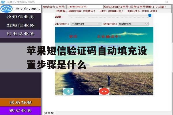 苹果短信验证码自动填充设置步骤是什么 苹果短信验证码自动填充设置步骤是什么