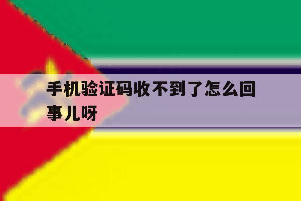 手机验证码收不到了怎么回事儿呀 手机验证码收不到了怎么回事儿呀