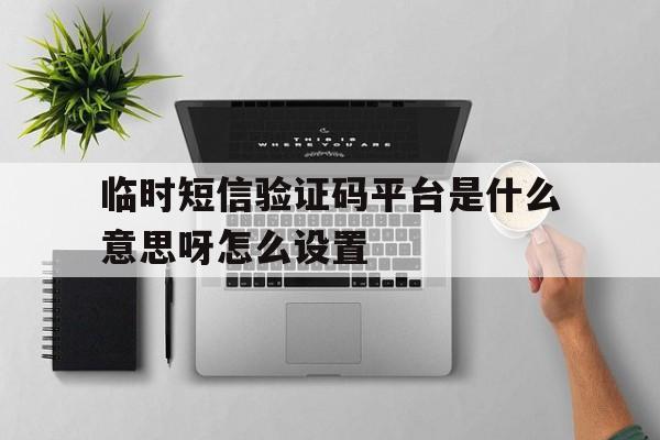 临时短信验证码平台是什么意思呀怎么设置 临时短信验证码平台是什么意思呀怎么设置