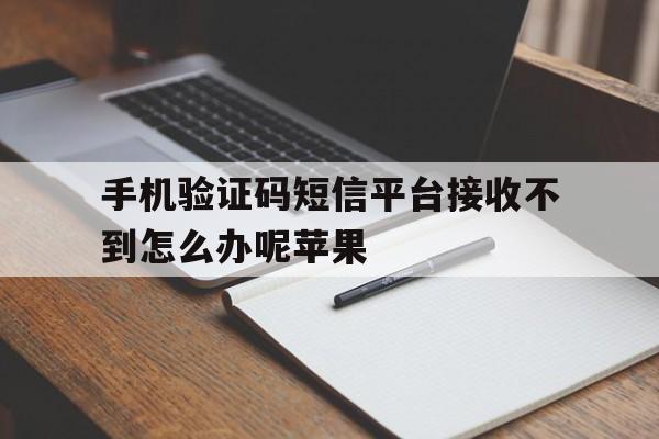 手机验证码短信平台接收不到怎么办呢苹果 手机验证码短信平台接收不到怎么办呢苹果